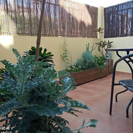 Ferienwohnung Loft Alquiler Alcalalí Exterior foto